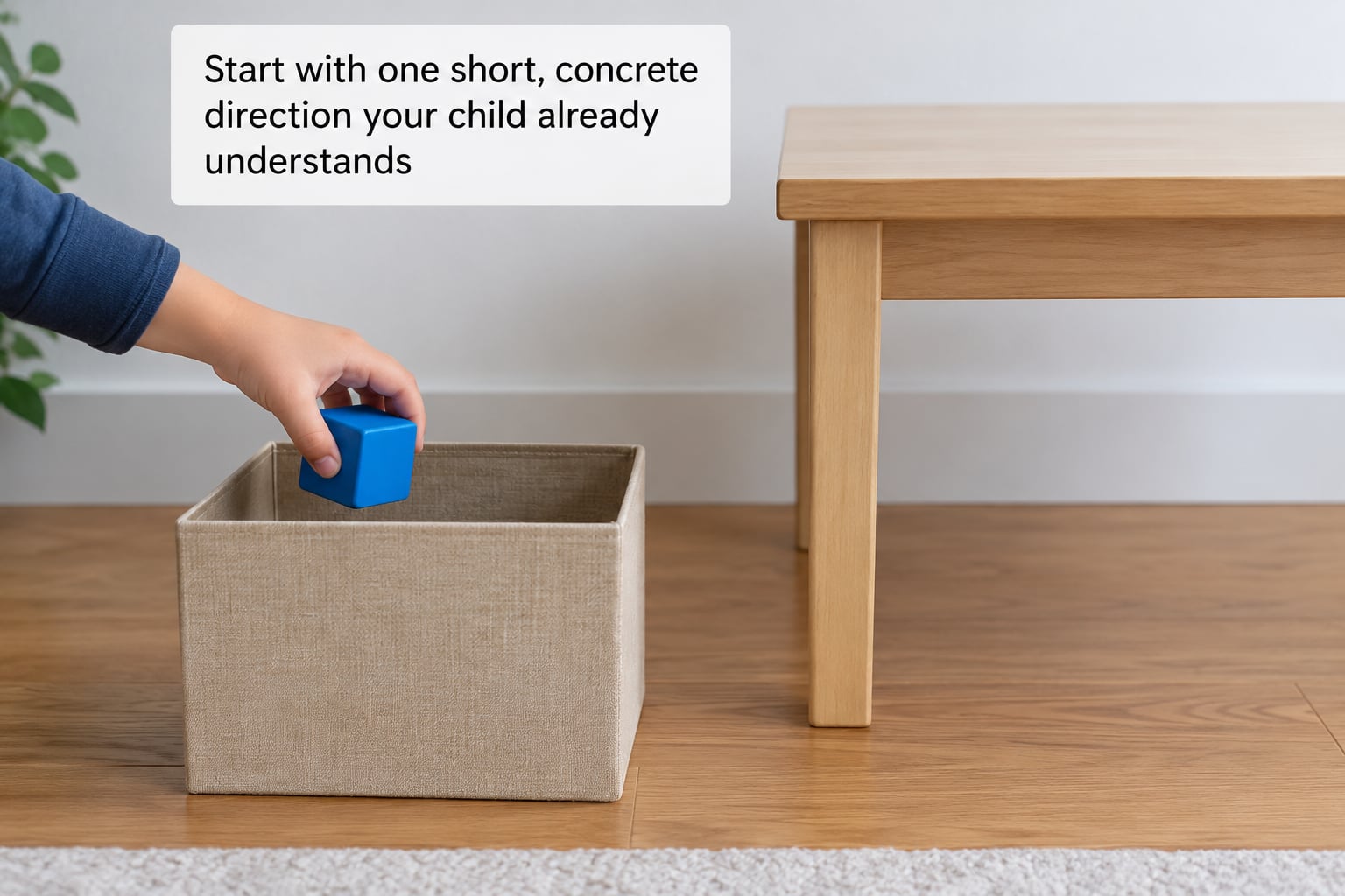 Start with one short, concrete direction your child already understands